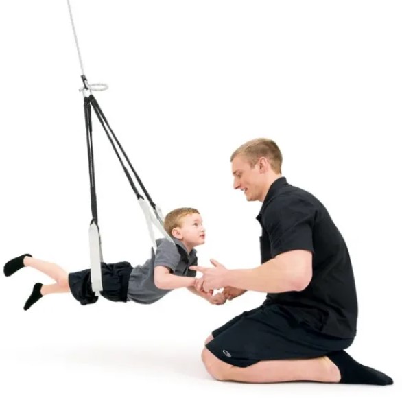 Harness Swing