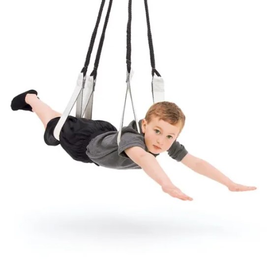 Harness Swing